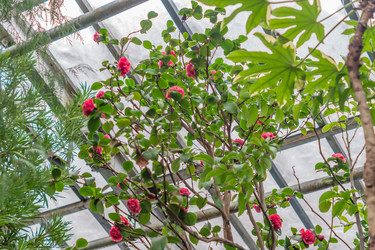 Similar image 21038336