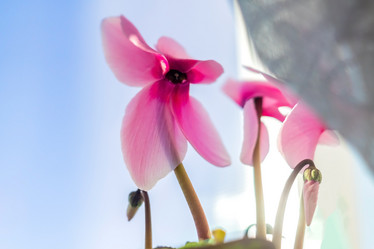 Similar image 21038449