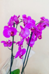 Similar image 21038450