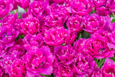 Similar image 21038453