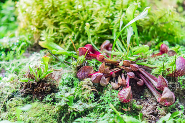 Similar image 21038455