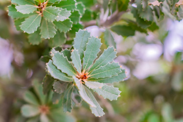 Similar image 21038682