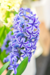 Similar image 21038688