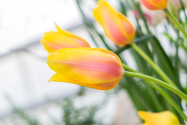 Similar image 21038689