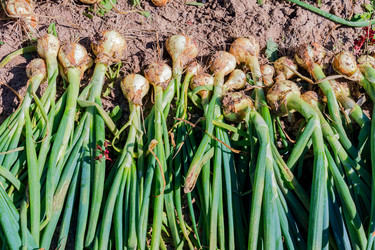 Similar image 21041185