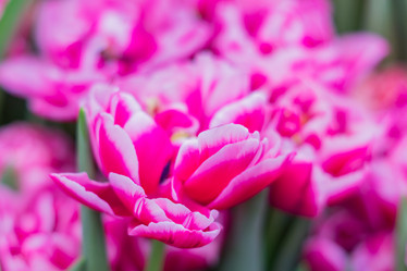 Similar image 21041186