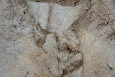 Similar image 21041190