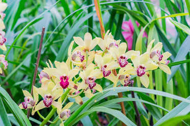 Similar image 21041196