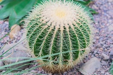 Similar image 21041200