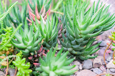 Similar image 21041202