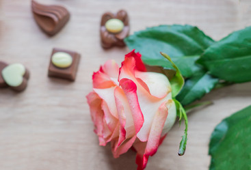 Similar image 21041335