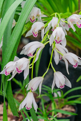 Similar image 21041339