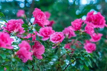 Similar image 21041343