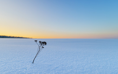 Similar image 21025490