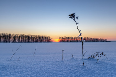 Similar image 21025491