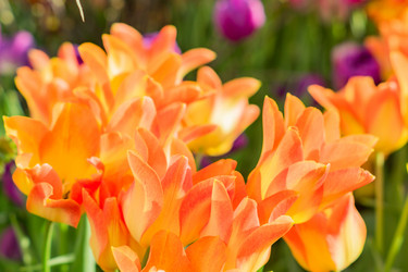 Similar image 21060913