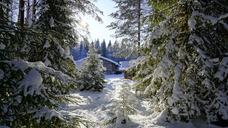 Similar image 21050680