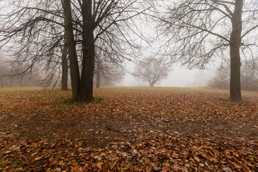 Similar image 21050683