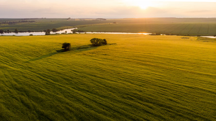 Similar image 21050685