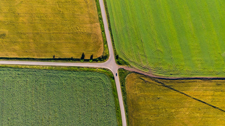 Similar image 21050686