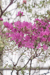 Similar image 21077257