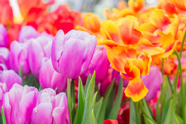 Similar image 21077259