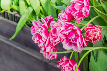 Similar image 21077266