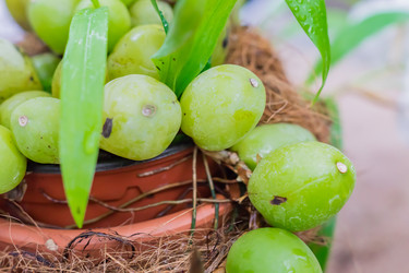 Similar image 21078177