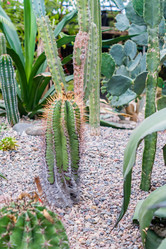 Similar image 21078178