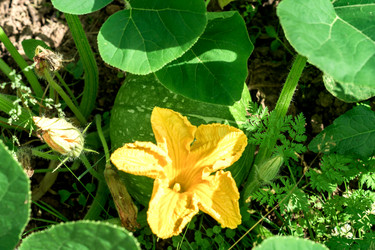 Similar image 21078371