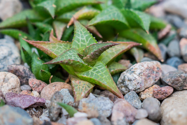 Similar image 21078379