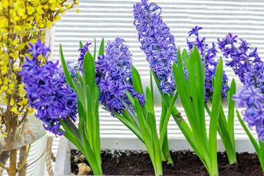 Similar image 21078382