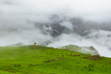 Similar image 21050690