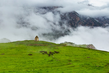 Similar image 21050691