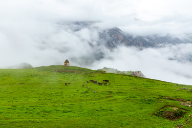 Similar image 21050692