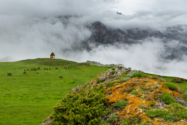 Similar image 21050693