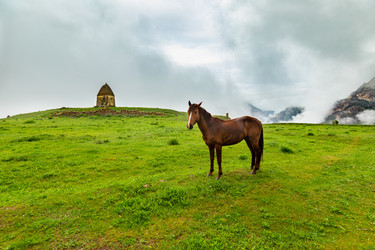 Similar image 21050695