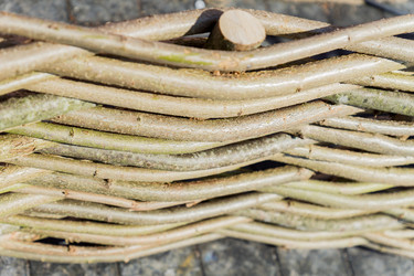 Similar image 21060922