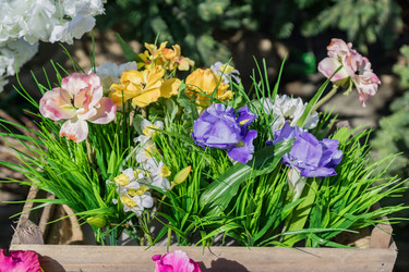 Similar image 21060926