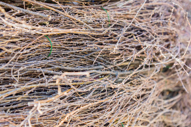 Similar image 21060928