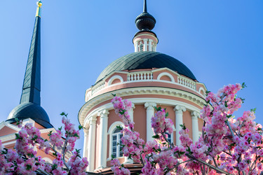 Similar image 21073250