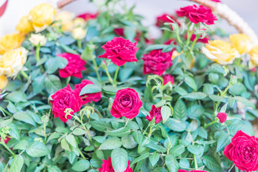 Similar image 21073254