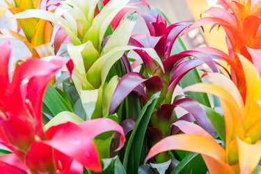 Similar image 21073257