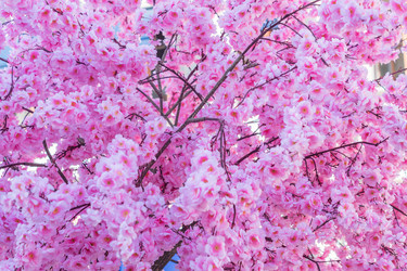 Similar image 21073366