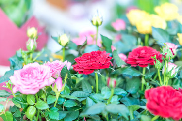 Similar image 21077217