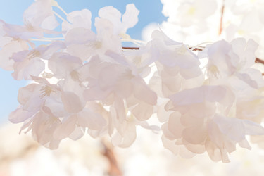 Similar image 21077218