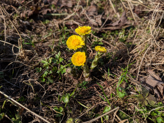 Similar image 21078182