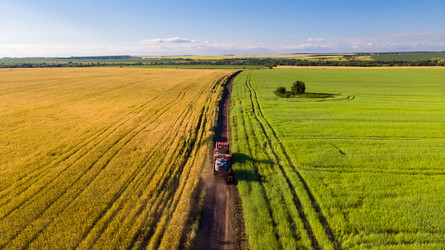 Similar image 21050702