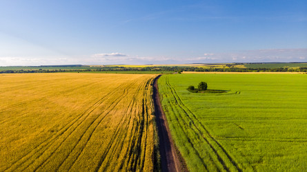 Similar image 21050703