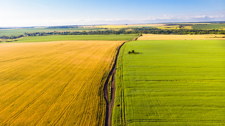 Similar image 21050704